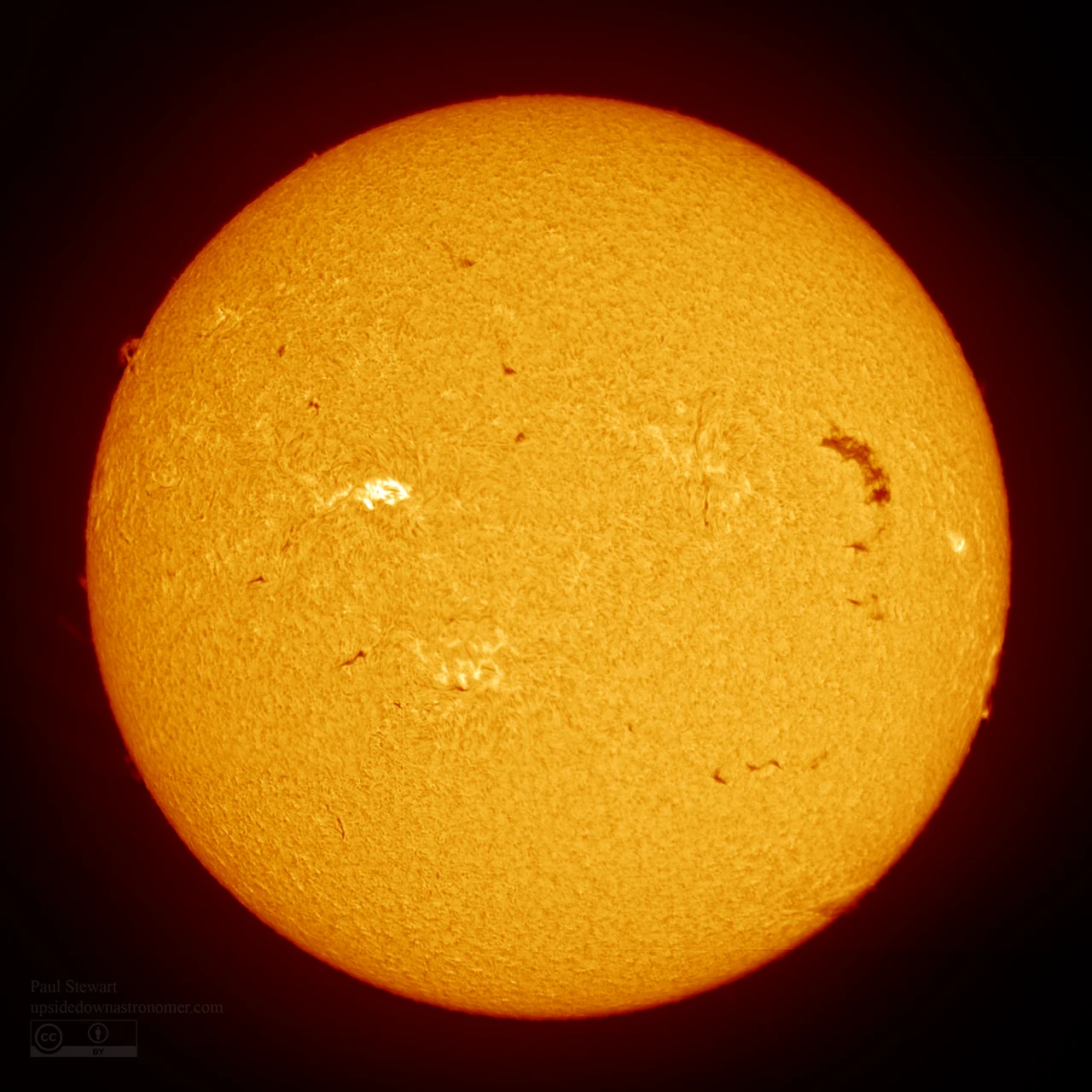 Reading the Sun's Mind Weeks Before It Erupts